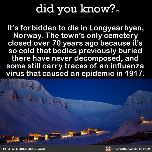 its-forbidden-to-die-in-longyearbyen-norway