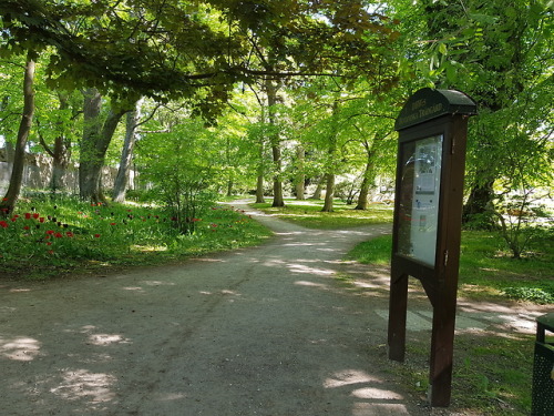 vargtimmar:Botanic garden - Gotland (a small island in Sweden)