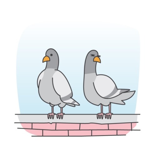 dustinteractive:Pigeon Prey