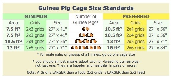 Pig Size Chart