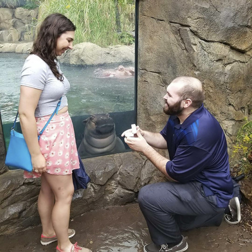 zoo internet dating