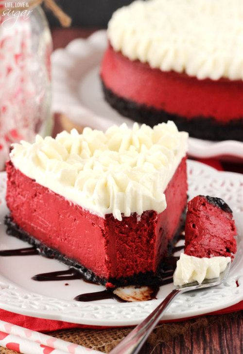 sweetoothgirl:Red Velvet Cheesecake