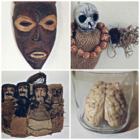 صورة 334 - curiosity cabinet