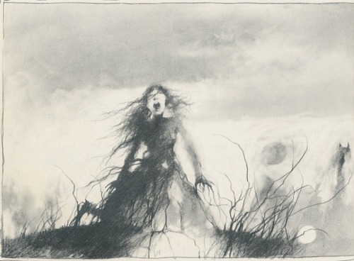 beyondthecrystalveil:My favorite Stephen Gammell illustrations...