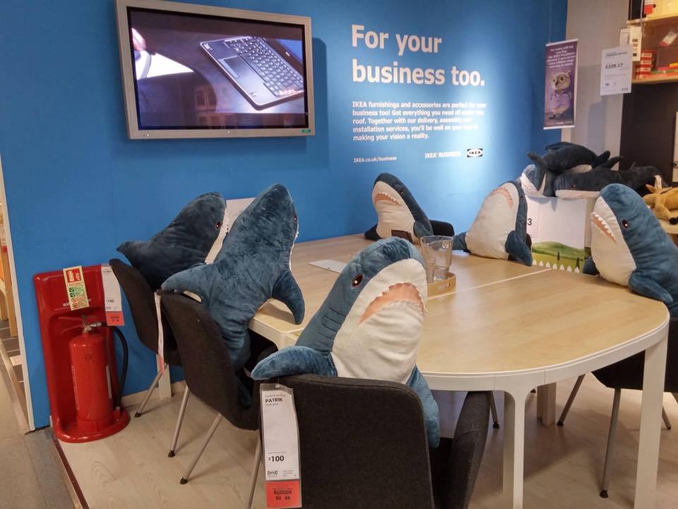 Shark Hugger • Ikea Plush sharks at their ‘think tank’ XD I...