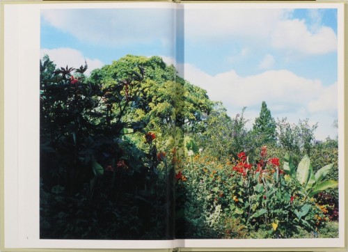 vjeranski:In Our Nature. Photographs by Takashi Hommavia