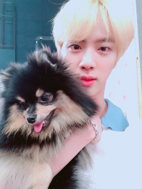 taeefa:Jin With Tanie uwu 