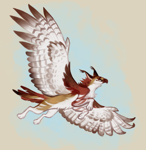 gryphon on Tumblr