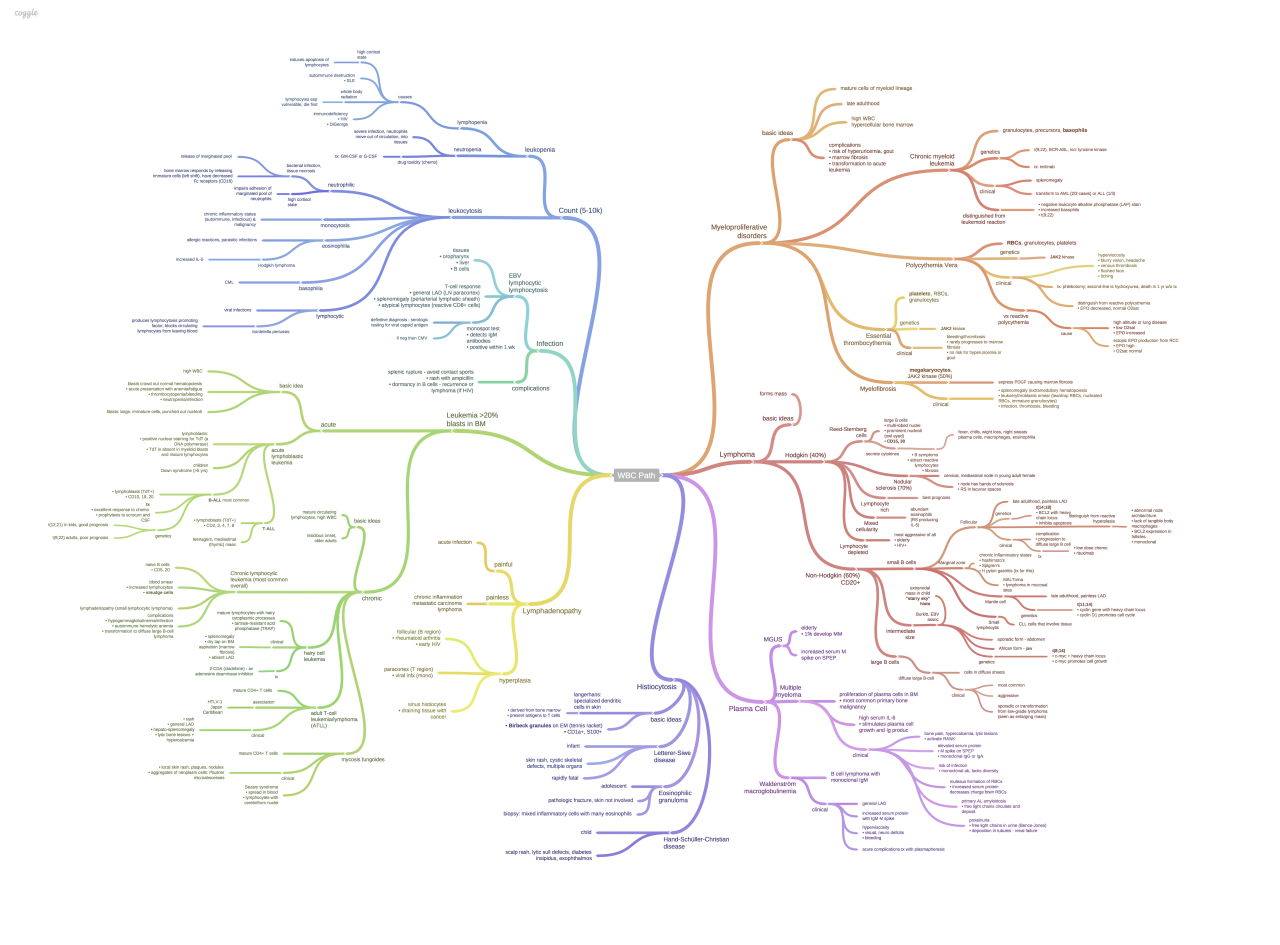 Meowedschool — White blood cell pathology mind map. Tumblr...