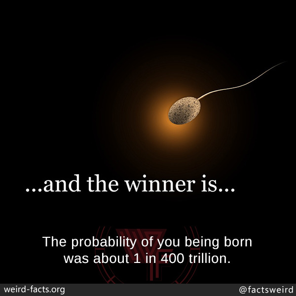 weird-facts-the-probability-of-you-being-born-is-1-in-400