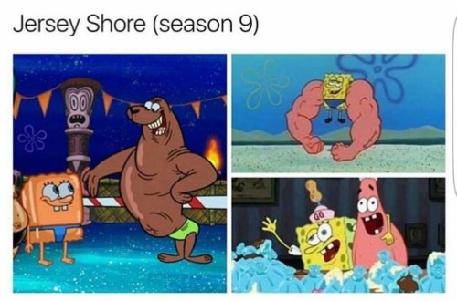 meme jersey shore | Tumblr