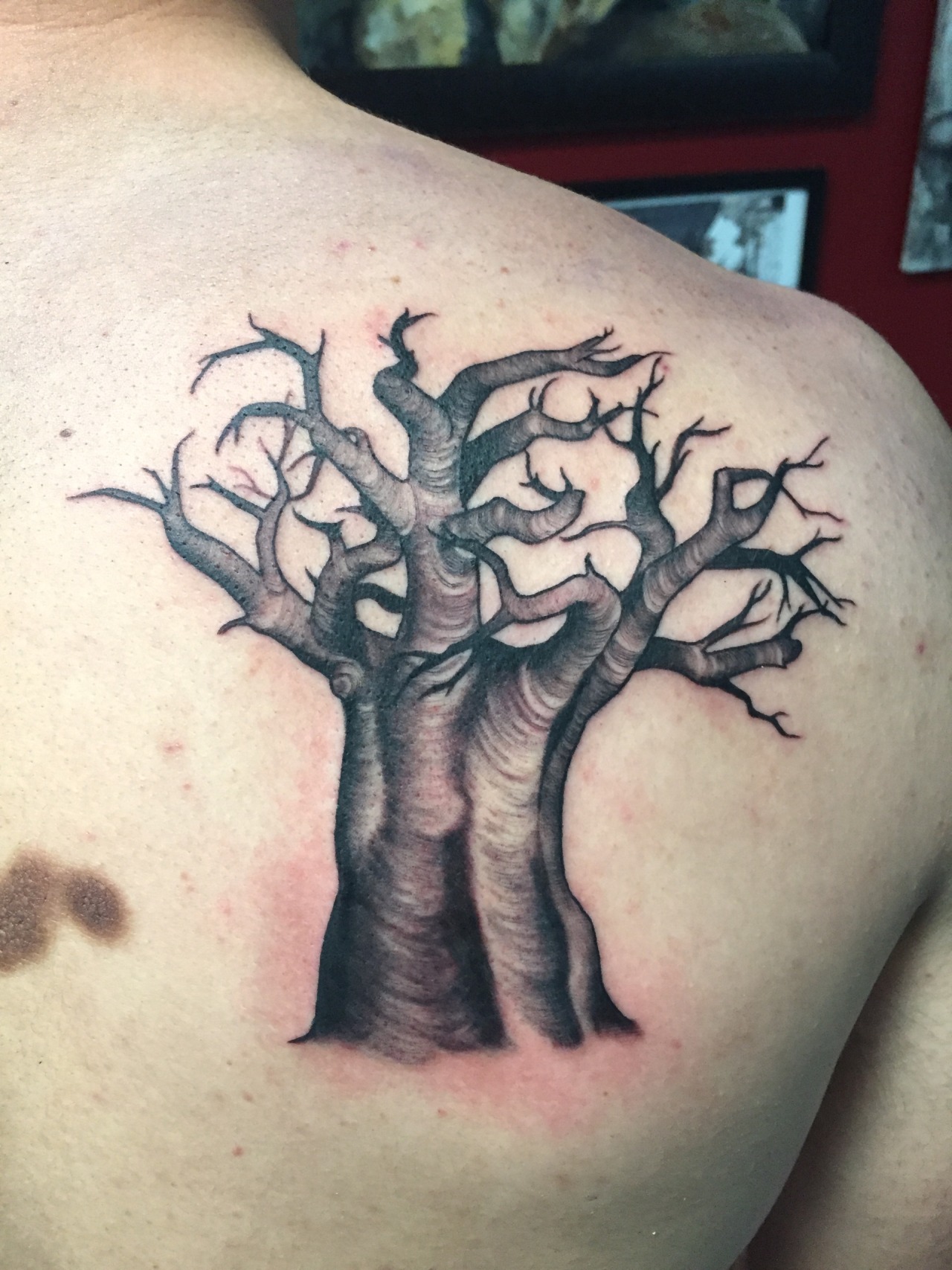 African Baobab Tree Tattoo Best Tattoo Ideas