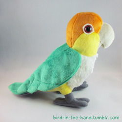 caique plush