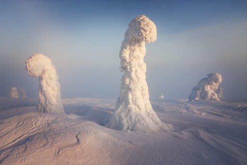 konstperspektiv:Finish Landscape / Sentinels of the Arctic II,...