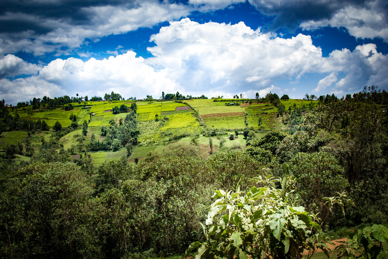 Amazing Places - Mau Forest - Kenya (by CIFOR)