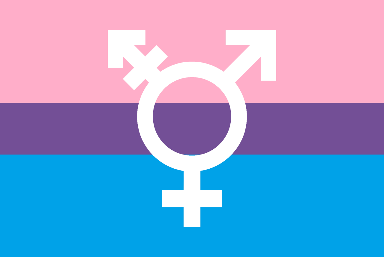 Bi trans. Бисексуалы иллюстрации. Женская бисексуальность. Bisexual флаг. Значок с флагом бисексуальности.