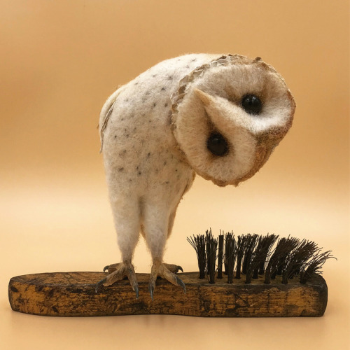 itscolossal:Felted Wildlife Perch on Found Objects in Charming...