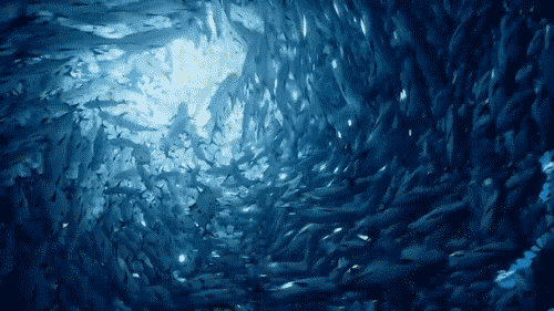 tumblr_obb4b8CnaU1u4rawro2_500.gif