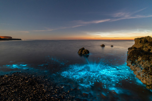 te5seract:‘A Splash Of Light’ - Penmon,...