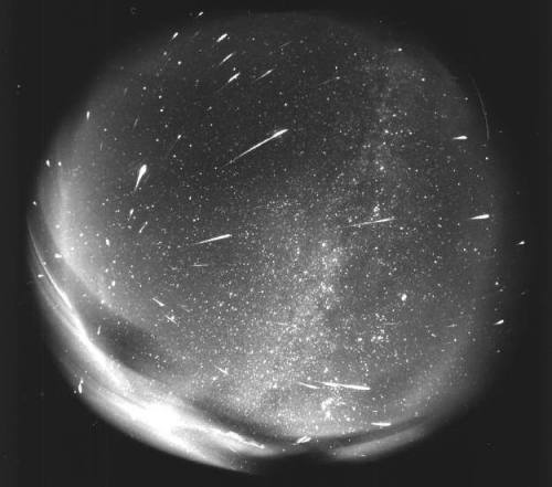 deathandmysticism:All-sky view of the Leonids shower, 156...