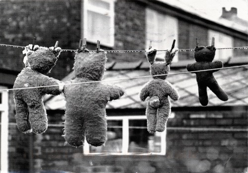 mannequinsvitrine:David Montford - Teddy bears on washing line,...