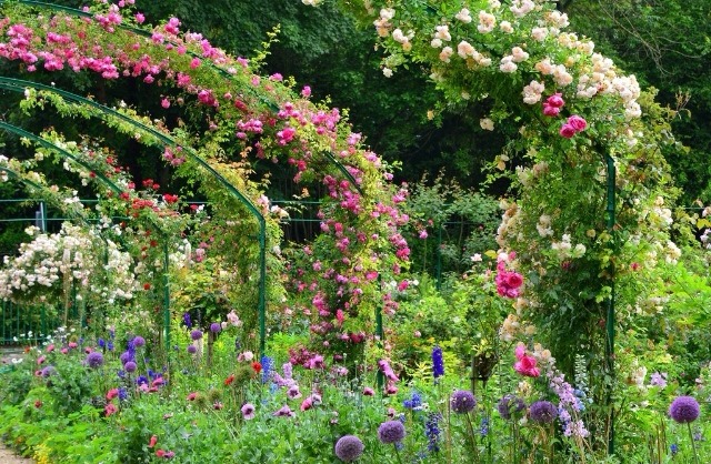 baeboy: Monet’s Garden - Meena's Tirith