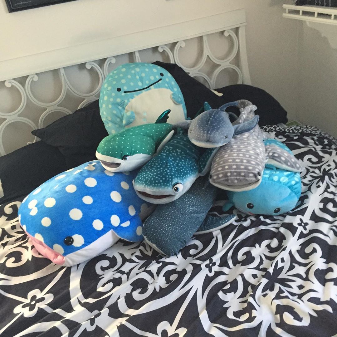 whaleshark plush