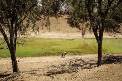 Dem Murray-Darling-Flusssystem geht das Wasser aus. Hier führt...