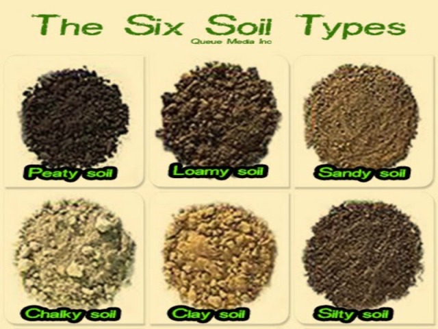 the-six-soil-types-suitable-gardening-soil-diy-gardening-better-living