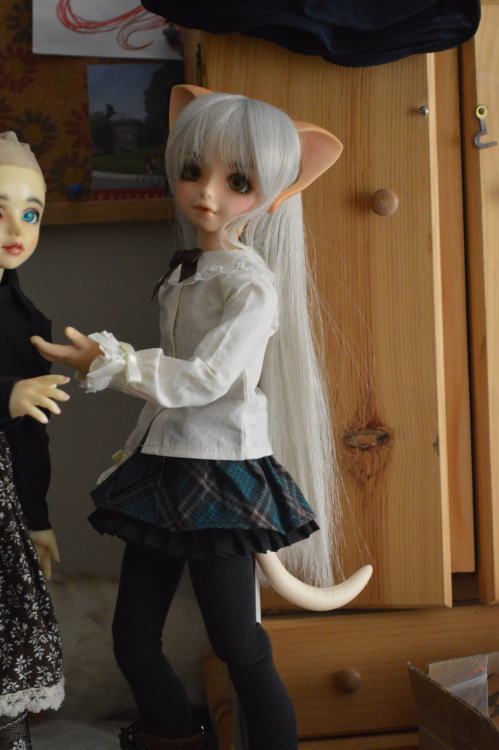 volks msd