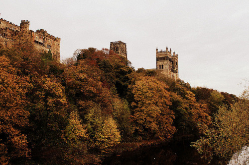 jacindaelena:Durham by schwurlie