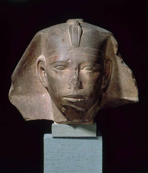 grandegyptianmuseum:Head of king Djedefre (quartzite), son of...