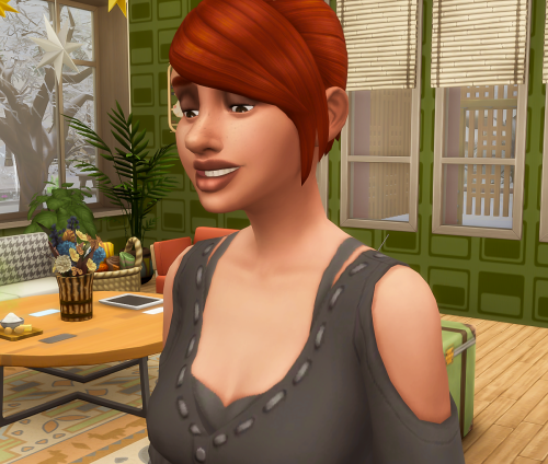 The sims 3 nanny careers