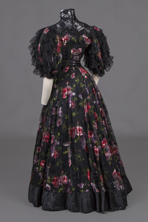 fashionsfromhistory:Dress1895Goldstein Museum of Design