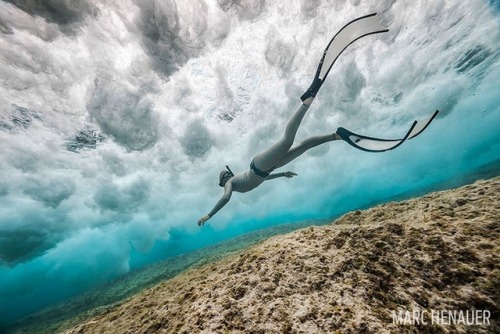 scuba diver photography ocean sea nature wildlife