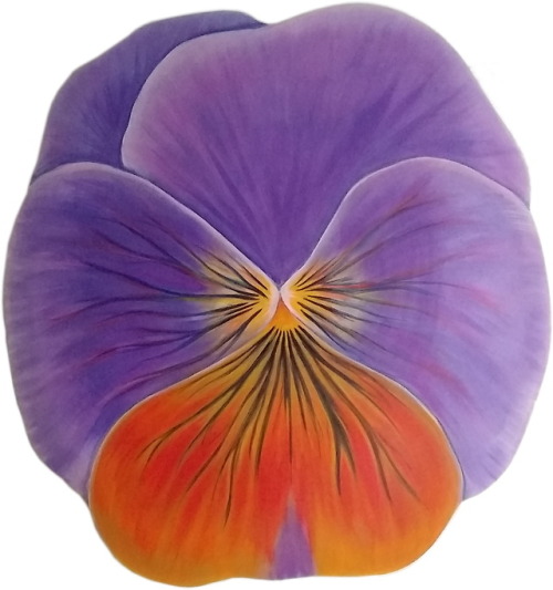 agblend13