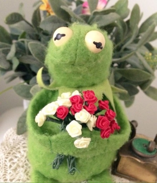 wholesome kermit | Tumblr