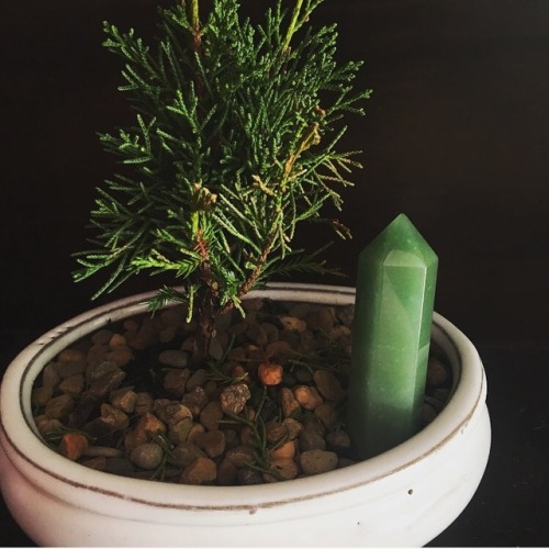 ffcgaycrush:Lin Fan x Green Aventurine“Green Aventurine...