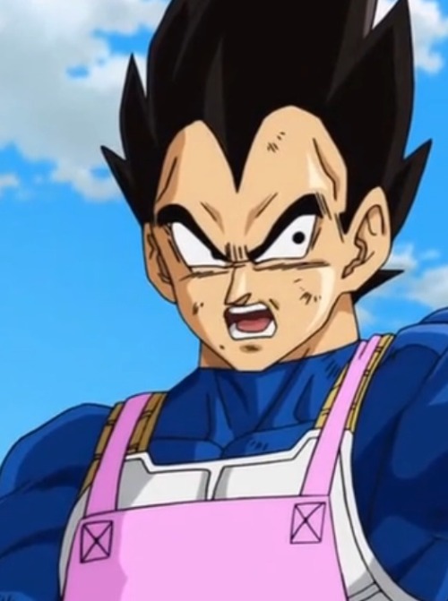 vegeta tumblr