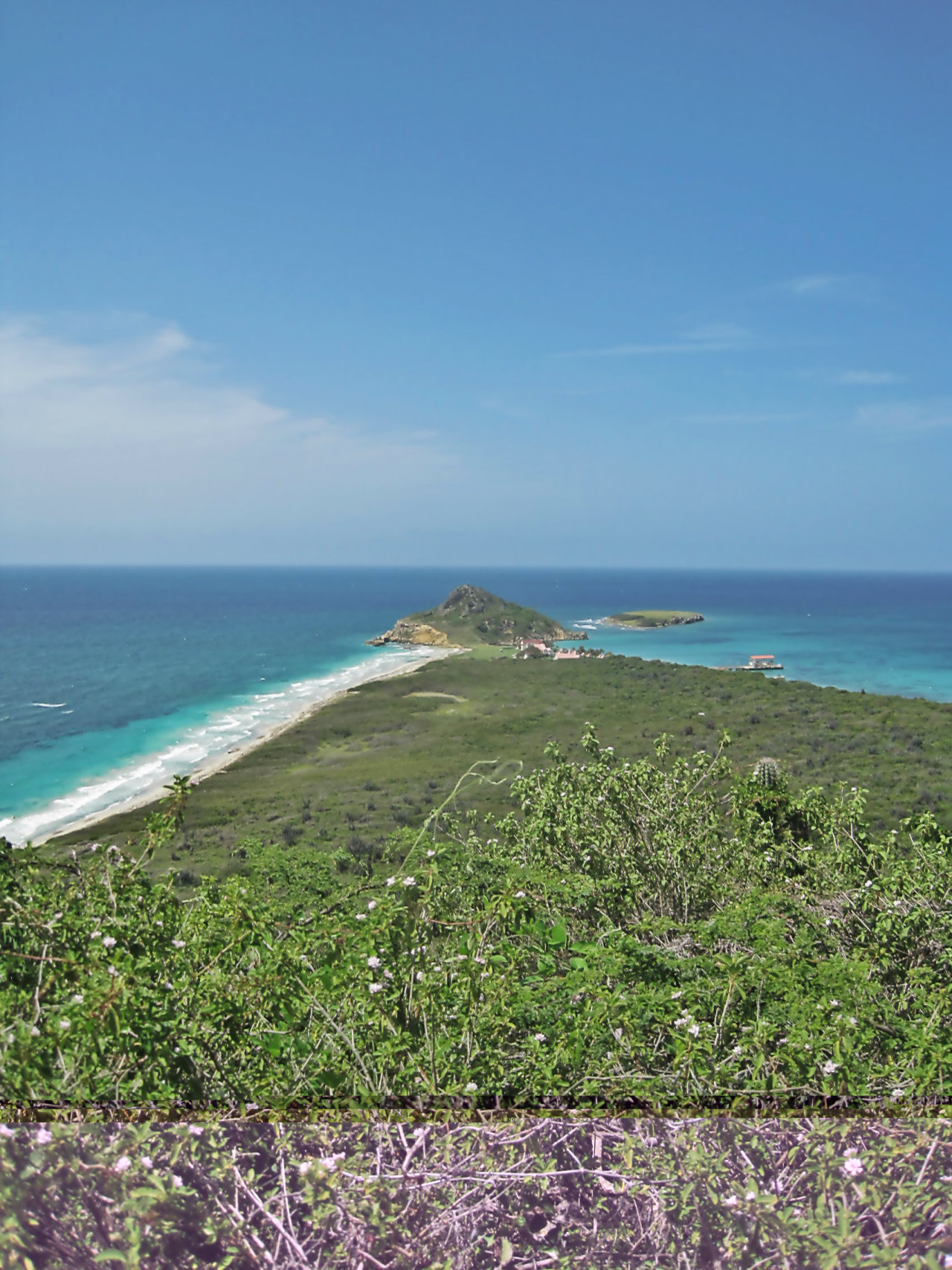 the-flamboy-n-tree-coffin-island-aka-isla-caja-de-muerto-8-miles