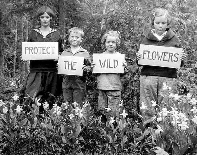 oldfarmhouse: “ oldfarmhouse: “Protect the Wild? ?Flowers ” http://oldfarmhouse.tumblr.com/ own edit ”