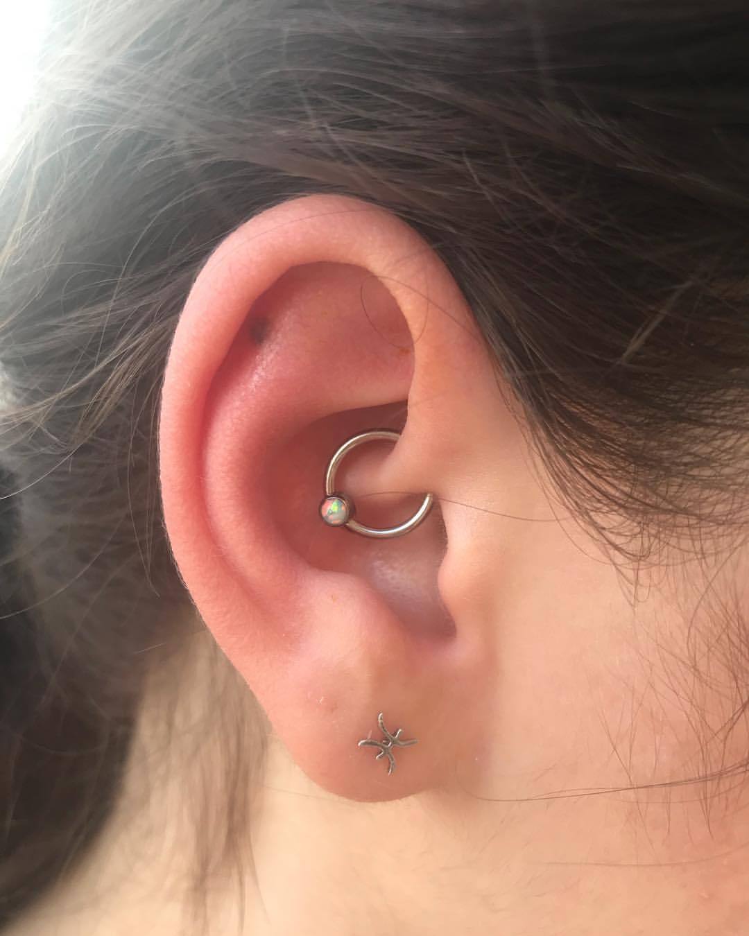 Skin City Tattoo Body Piercing Daith Piercing With A