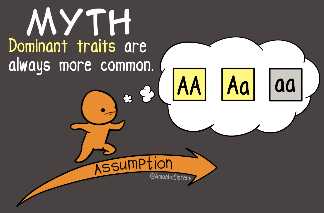 The Amoeba Sisters — Did you know that dominant traits are ...