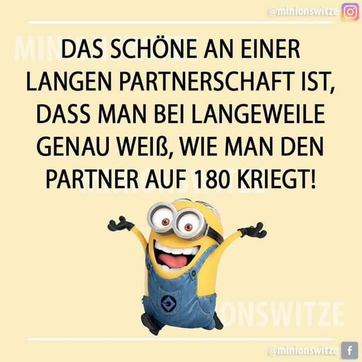 Minionswitze Und Sprüche Leben Am Limit