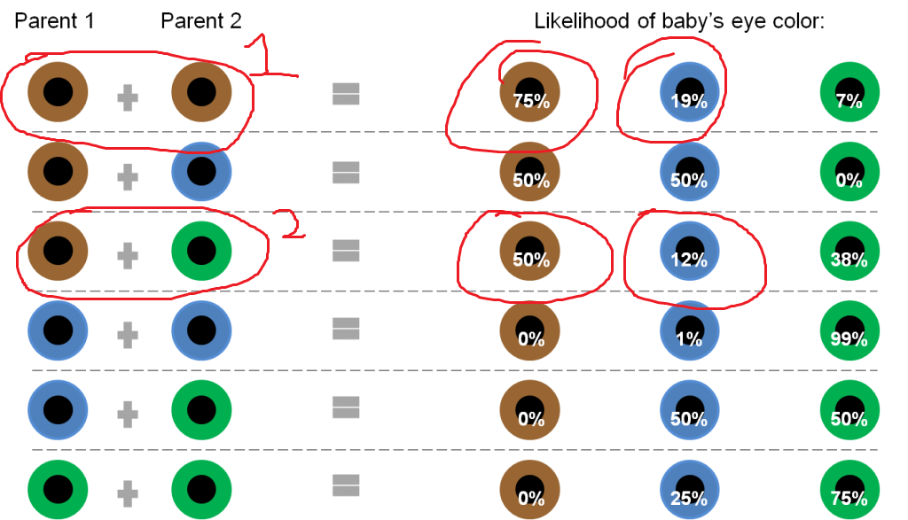 Eye Color Chart Parents