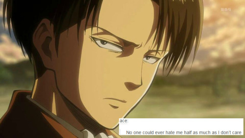 captain levi on Tumblr