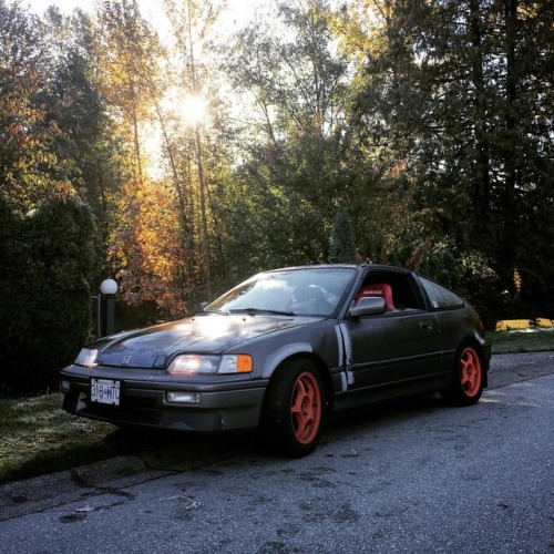 Morning!...#honda #crx #hondacrx #si #hks #skunk2 #rota...