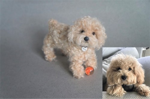 janetsneedlefelting:A needle felted #Cockapoo with a big...