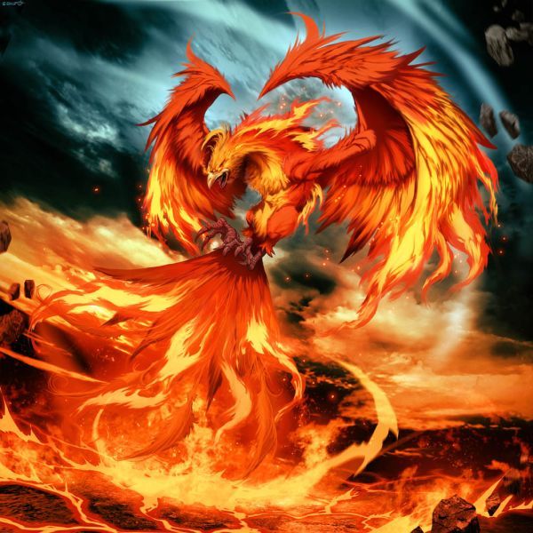 Librum Prodigiosum — The phoenix is a legendary bird from Greek and...