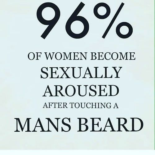 bigdaddysbeardcare:New on our Pinterest: Beard Memes...